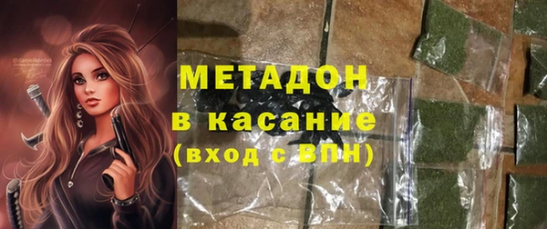 индика Медвежьегорск